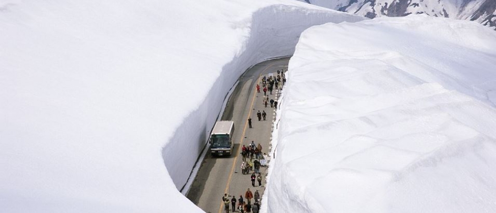 2016 : le meilleur de l’actu insolite du permis de conduire